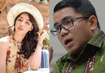 DPR Mulai Cium Aroma tak Sedap dan Keheranan dengan Kekayaan Pramugari Siwi Sidi yang Banyak Banget: Rasanya enggak Mungkin kalau Pacar Kasih Sebesar itu