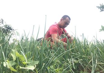 Kisah Ujang, Petani Muda yang Kalahkan Menteri Perdagangan Maupun Presiden, Mampu Turunkan Harga Bahan Pokok Tiap Menjelang Hari Raya: Keuntungan Saya Hanya Rp 4.000