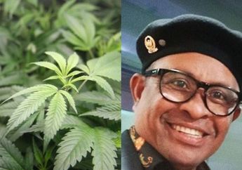 Sebelumnya Koar-koar soal Ekspor Ganja hingga Menimbulkan Kekisruhan Dimana-mana, kini Sosok Anggota DPR Ini Malah Minta Maaf: Spontan Aja