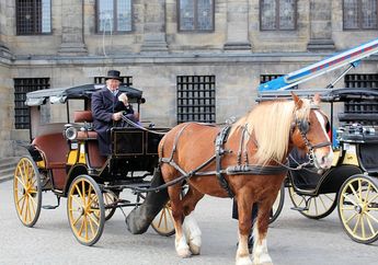 Arti Mimpi Naik Delman Bersama Keluarga, Ternyata Jadi Pertanda Baik Lho, Simak Penjelasannya