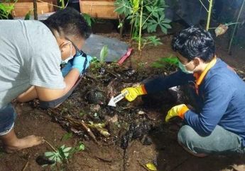 Mulai dari Suara Mistis Hingga Bau Menyengat, Inilah Petunjuk yang Mengungkap Penemuan Jasad Siswa SD Korban Pedofilia di Banjarnegara