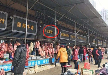 ernyata Inilah Alasan Orang China Suka Makan Hewan Liar yang Diduga menjadi 'Biang Kerok' Virus Corona