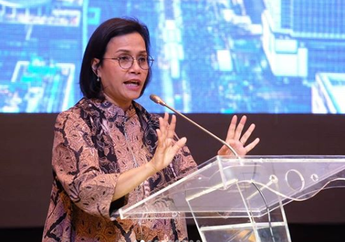Usai Tunda Gaji ke-13 Gara-gara Virus Corona, Menkeu Sri Mulyani Kembali Ketok Palu Urung Naikkan Tunjangan Kinerja ASN