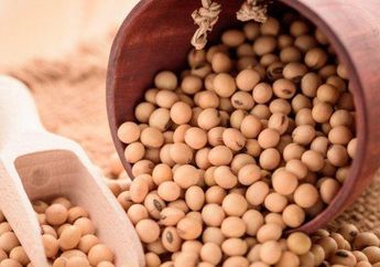 4 Manfaat Kedelai untuk Kecantikan, Para Cewek Sudah Tahu Belum nih?