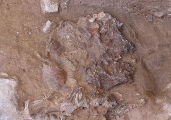 Arkeolog Temukan Rangka Manusia Purba Dengan Tulang Masih Menyambung, Hasil Penelitian Ratusan Tahun, Tegar Walau Diserang ISIS