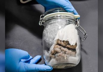 Otak Manusia Ditemukan Dikirim dari Kanada ke Amerika, Polisi Murka dan Merasa Negara Adidaya Tersebut Terancam!