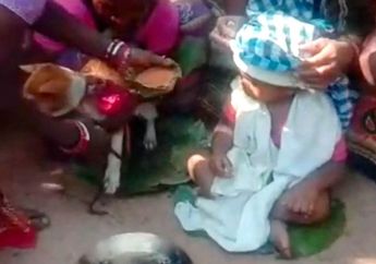 Dihadapan Banyak Orang,  Bayi Ini Dinikahkan dengan Seekor Anjing oleh Orang Tuanya, Ternyata Awalnya Panik Karena Orang Tuanya Temukan Hal Ini Pada Tubuh Anaknya Itu