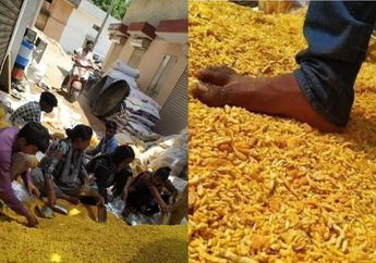 Sungguh Memualkan, Para Pekerja Ini dengan Santainya Menginjak-injak Snack Kiloan tanpa Alas Kaki sebelum Dibungkus! Apakah di Indonesia?