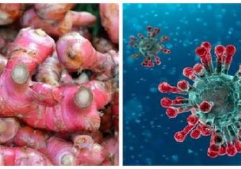 Dampak Corona Bikin Harga Jahe Merah Tembus Rp100.000/Kg, Rupanya Khasiatnya pun Tak Main-main dari Perkuat Imunitas Tubuh hingga Jaga Kondisi Jantung