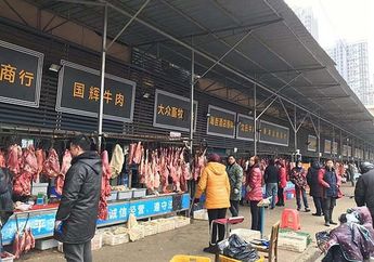 Baru Saja Pulih dari Corona, Pasar di China Asal Corona Kembali Jual Daging Kelelawar dan Kalajengking