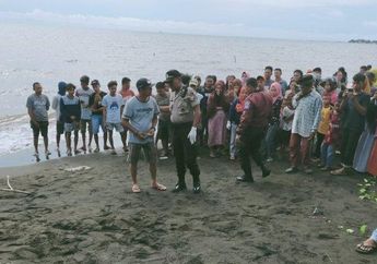 Ditemukan dengan Tubuh Sudah Dikoyak Anjing, Bayi Asal Sulsel Dibuang di Pinggir Pantai, Polisi: Diduga Hasil Hubungan Tidak Sah!