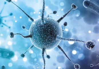 Bukan Ditularkan oleh Kelelawar di Pasar Hewan di Wuhan, Studi Terbaru Klaim Virus Corona Ditularkan oleh Manusia