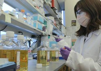 Kepalang Panik, Dua Pria Ini Sebarkan Hoaks dengan Minum Disinfektan agar Terhindar Virus Corona, Sekarang jadi Buronan Polisi