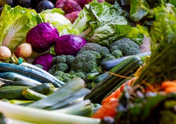 Tak Perlu Belanja Tiap Hari, Ini Cara Jenius Simpan Bahan Makanan Sehat Agar Segar Tahan Lama