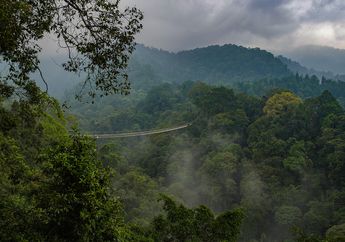 Gunung Gede Pangrango Terlihat dari Kemayoran, Ini Fakta Menarik Gunung Gede Pangrango