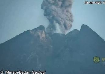 Makin Intens, Gunung Merapi Kembali Erupsi dengan Ketinggian 2 Ribu Meter, BPPTKG Himbau Masyarakat Tetap Tenang