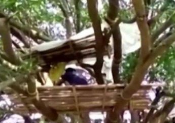 Kisah Warga India Mengisolasi Diri dari Wabah Corona dengan Tinggal di Atas Pohon, Rupanya Ada Hal Menyedihkan Dibaliknya
