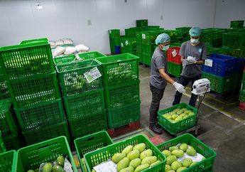 Wabah Virus Corona Menyerang Indonesia, TaniHub Group Monitor Kesehatan Para Pegawai dan Pastikan Hasil Pertanian Aman Lewat Sertifikasi Halal dan ISO 22000