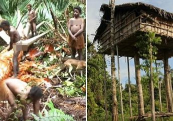 Hidup Bertengger di Atas Pohon Hutan Paling Jarang Dijelajahi di Dunia, Suku Asal Indonesia Ini Gak Tau Keberadaan Manusia Lain hingga Sebut Orang Luar 'Setan Hantu', Begini Cerita Lengkapnya