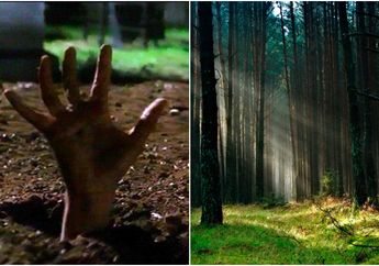 Dilaporkan Hilang Berhari-hari, Siswa SMP di Sumut Ditemukan Tewas Terkubur Setangah Badan di Kebun Karet, Separuh Dada Menyembul dari Tanah