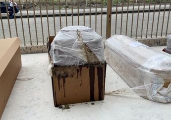 Warga di Negara Paling Parah Terdampak Covid-19 di Amerika Latin Ini Tak Terima saat Pemerintah Bagikan Peti Mati Berbahan Kardus: 'Bayangkan Mengangkut Mayat dan Hujan Turun!'