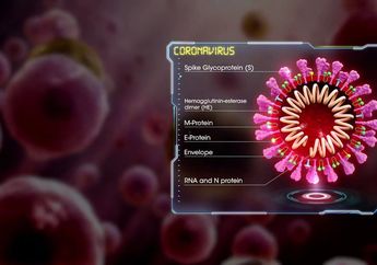 Virus Corona Bikin Kita Susah, Denny Darko Terawang Ada Kabar Baik Sehabis Bencana Ini Selesai: Indonesia Masuk ke Puncak Kejayaan