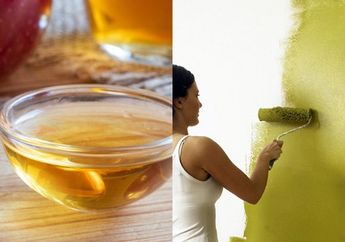 Terungkap Beberapa Tetes Cuka Bisa Rawat Cat Dinding Agar Tak Mudah Terkelupas!