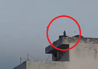 'Planet of the Apes' Menjadi Kenyataan? Di Tengah-tengah Lockdown Akibat COVID-19, Terlihat Penampakan Monyet Bermain Layang-layang: 'Luar Biasa'