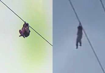 Terkait Insiden Bocah Nyangkut di Kabel Sutet, PLN Minta Orang Tua Lebih Ketat Awasi Buah Hatinya