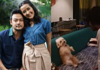 Lucu Nggak Ketulungan, Begini Ekpresi Anjing Milik Dwi Sasono saat Dimarahi karena Keseringan Pulang Malam