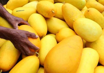 Menu Buka Puasa Bulan Ramadhan, Kenapa ya Blewah dan Timun Suri Identik dengan Bulan Ramadhan? Ternyata 10 Hal Ini Jawabannya!