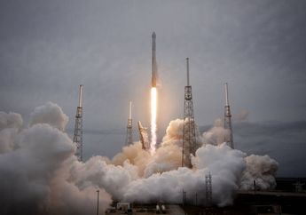 Wow! Orang Misterius Ini Membeli Sesuatu yang Tak Biasa di Platform Belanja Online seharga Rp 88 Miliar! Apa Itu?