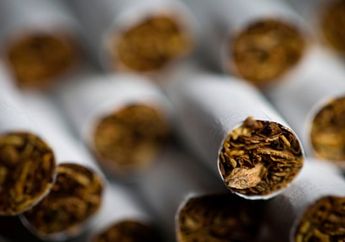 Disebut Penyebab Risiko Infeksi Covid-19 Makin Tinggi, Ada Ilmuwan Sebut Nikotin dalam Rokok Bisa Cegah Infeksi Virus Corona