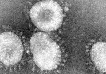 Belum Ada Tanda-tanda Akan Berakhir dalam Waktu Dekat, Ternyata Virus Corona Bermutasi, Akankah Pembuatan Vaksin Sia-sia? Ini Jawaban Ahli