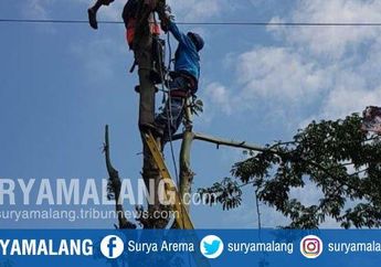 Sudah Diperingatkan Warga agar Tak Cari Ramban di Atas Pohon Randu, Pria di Kediri Akhirnya Tewas Kesetrum Kabel Listrik PLN