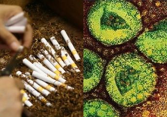 Pabrik Sampoerna di Surabaya Jadi Klaster Penyebaran Covid-19, Rokok yang Diproduksinya Bisa Jadi Pembawa Virus?