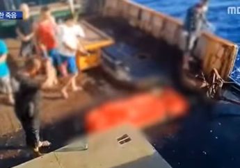 Trending di Korea Selatan, Stasiun TV MBC Beritakan Nasib Miris ABK Indonesia di Kapal Tiongkok, Diperbudak 18 Jam Sehari hingga Dibuang ke Laut Jika Mati!
