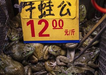Terlihat Kodok Hidup Segar Dijual di Pasar Hewan Liar di China yang Dapat Membuka Kekhawatiran COVID-19: Pedagang Bingung 'Hewan Liar' Itu yang Bagaimana?