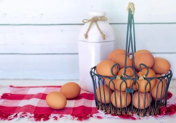 Telur Ayam Boiler Dilarang Pemerintah untuk Diperjualbelikan, Padahal Sudah Jadi Makanan Sehari-hari, Ada Apa Ya?