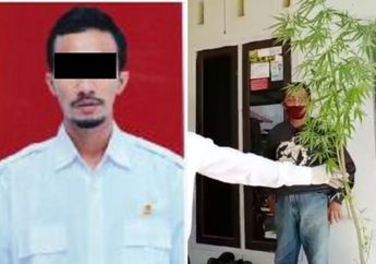 Ngaku Hobi Berkebun, Mantan Caleg Ini Kedapatan Tanam Ganja Hingga Ditemukan Ganja Kering Sekarung di Dalam Rumah