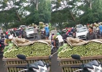 Dagangannya Tak Ada yang Mau Beli, Para Pedagang Sayur di Malang Bagi-Bagi Sayur Gratis ke Pengendara Jalan, Camat Tumpang : Mungkin Dampak Covid-19