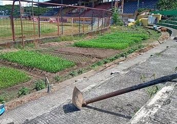 Stadion Mattoanging Jadi Kebun, Kadispora Sulsel Mengaku Tidak Tahu