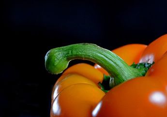 Mr. P Sulit Ereksi dan Tidak Tahan Lama di Ranjang,  Bisakah Menjadi Tanda Penyempitan Pembuluh Darah Jantung?