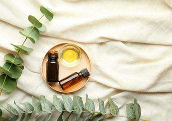 Bukan Cuma untuk Aromaterapi, Eucalyptus Ternyata Punya Sederet Manfaat Ini