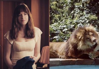 Tak Kapok Kepalanya Pernah Digigit Singa saat Syuting, Nenek Aktris Dakota Johnson yang Berusia 90 Tahun Kini Malah Tinggal Bareng 13 Harimau di Rumah!