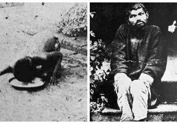 Kisah Nyata Seorang Bocah yang Hidup di Hutan Dibesarkan Serigala, Saat Ditemukan Kondisinya Menyedihkan, Merangkak dan Hanya Mau Makan Daging Mentah