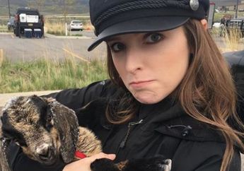 Kenang Momen Syuting Film Twilight, Anna Kendrick: Begitu Dingin dan Menyedihkan, Bikin Trauma!