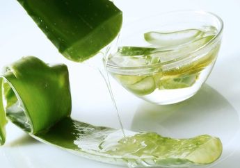 Cara Membuat Masker Lidah Buaya untuk Rambut Berkilau hingga Rambut Rontok