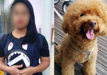 Tega Lempar Anjing Majikan dari Balkon Lantai 3, TKW Asal Indonesia Ini Terancam Penjara dan Denda Belasan Juta Rupiah