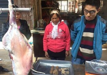 7 Tahun Dipelihara Kambing ini Tak Tumbuh Besar, Begitu Disembelih Tak Disangka Penyebabnya adalah Benda Senilai Rp9 Miliar Ini, Pemiliknya Tercengang